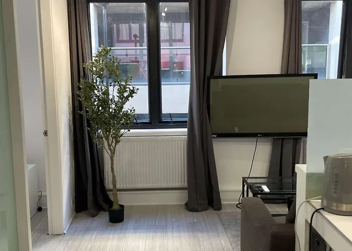 2 Bdrm Contemporary Central London Apartment